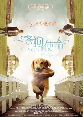 《一条狗的使命[电影解说]》全集高清完整版在线观看与剧情解析
