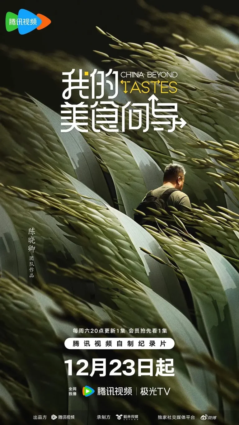 《我的美食向导》全集高清完整版在线观看与剧情解析