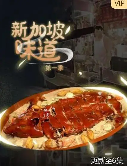 《新加坡味道第一季》全集高清完整版在线观看与剧情解析