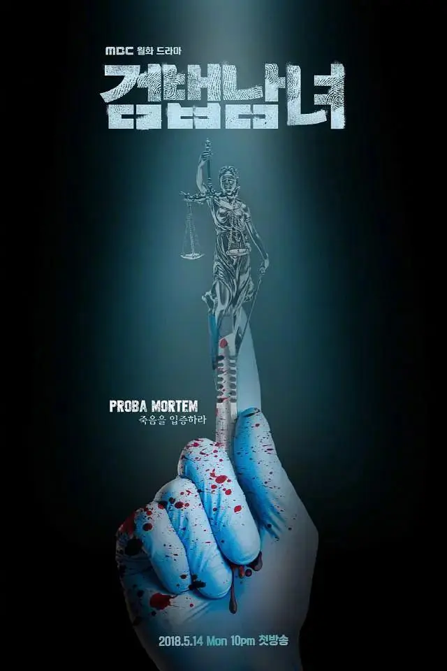 《检法男女》全集高清完整版在线观看与剧情解析