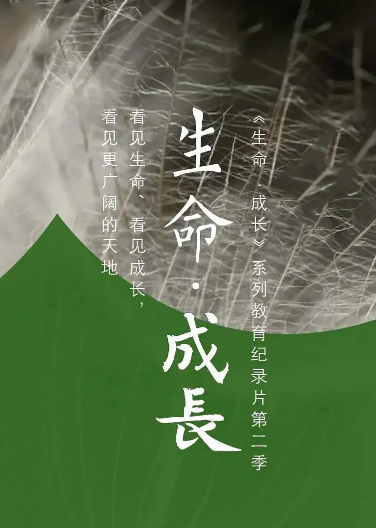《生命·成长第2季》全集高清完整版在线观看与剧情解析