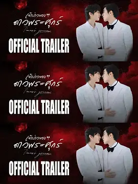 《维纳斯的新郎》全集高清完整版在线观看与剧情解析