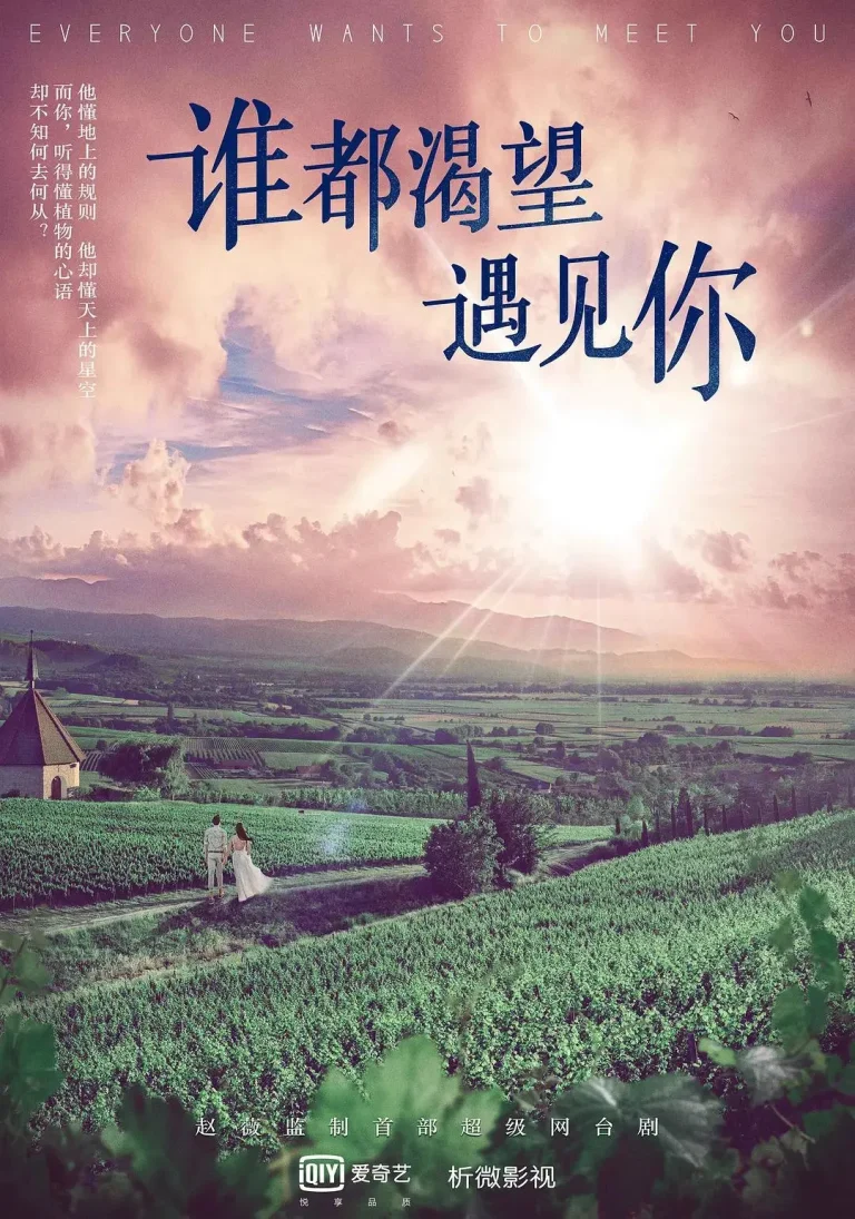 《谁都渴望遇见你》全集高清完整版在线观看与剧情解析