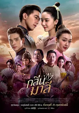 《马里花香》全集高清完整版在线观看与剧情解析